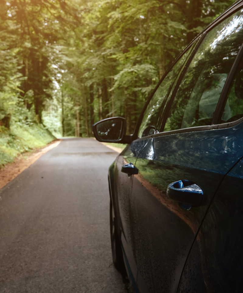 Voiture dans la forêt